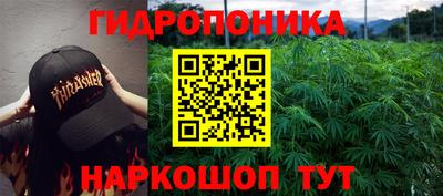 ПСИЛОЦИБИНОВЫЕ ГРИБЫ Новозыбков