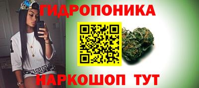 мдма Новодвинск