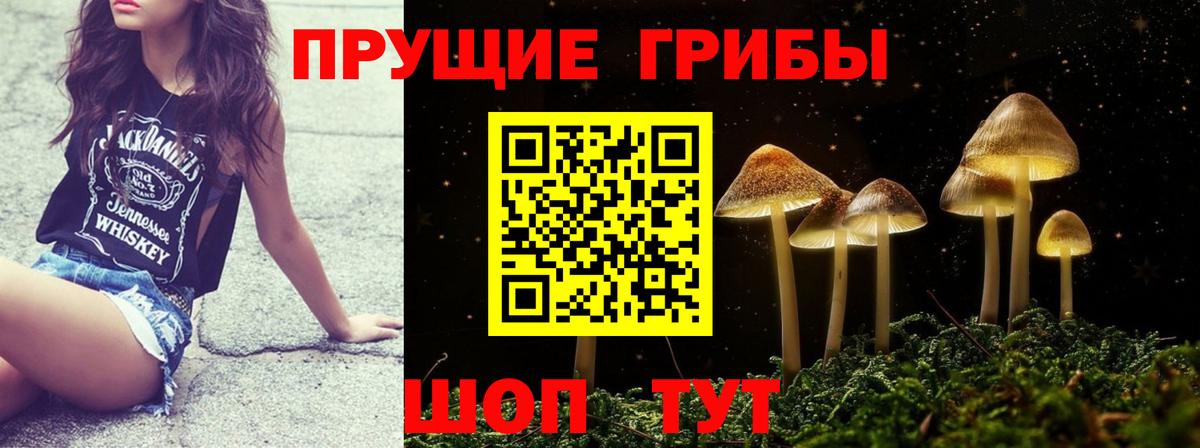 Галлюциногенные грибы GOLDEN TEACHER  Вход с VPN  Сосновый Бор 